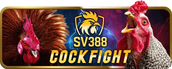Khuyến Mãi Chào Mừng Thành Viên Mới c8bet app